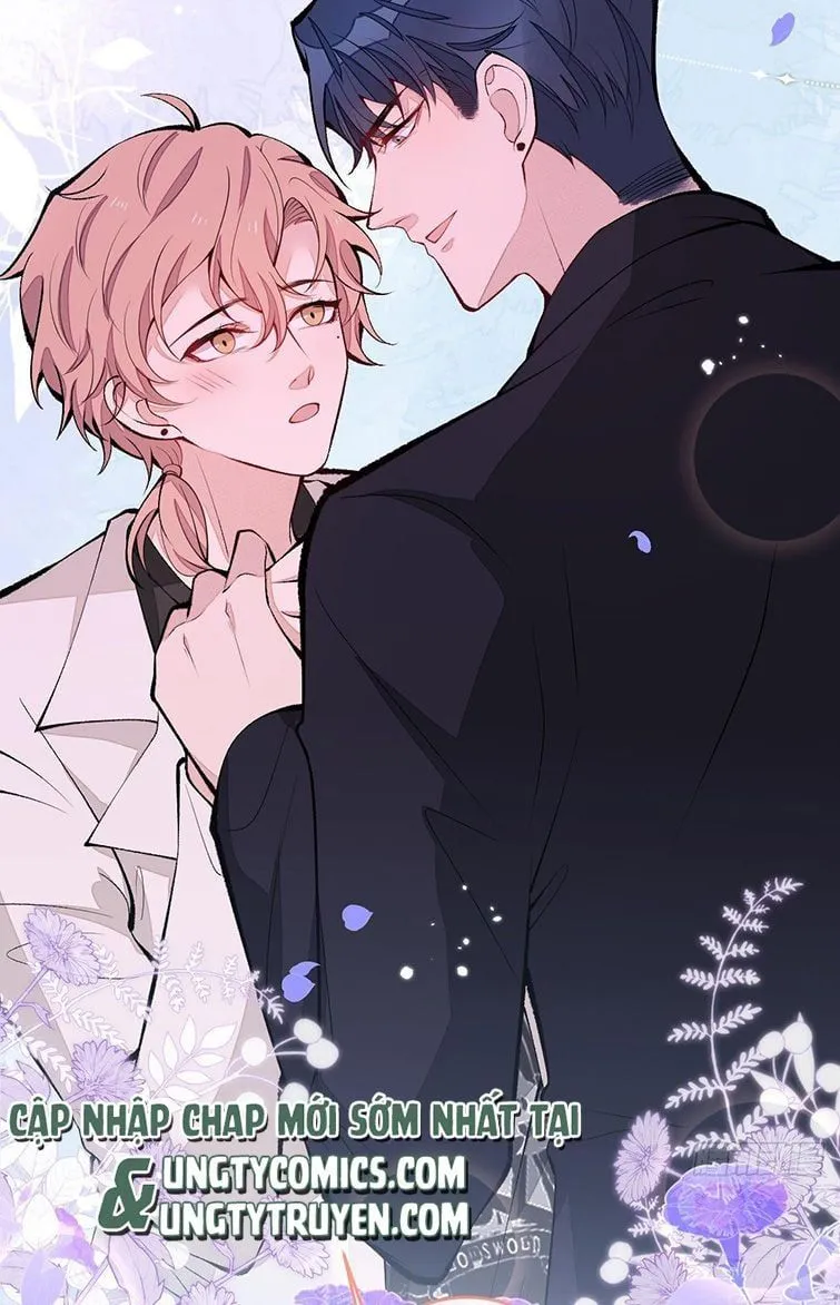 Hotsearch Của Ảnh Đế Chap 167 - Next Chap 168