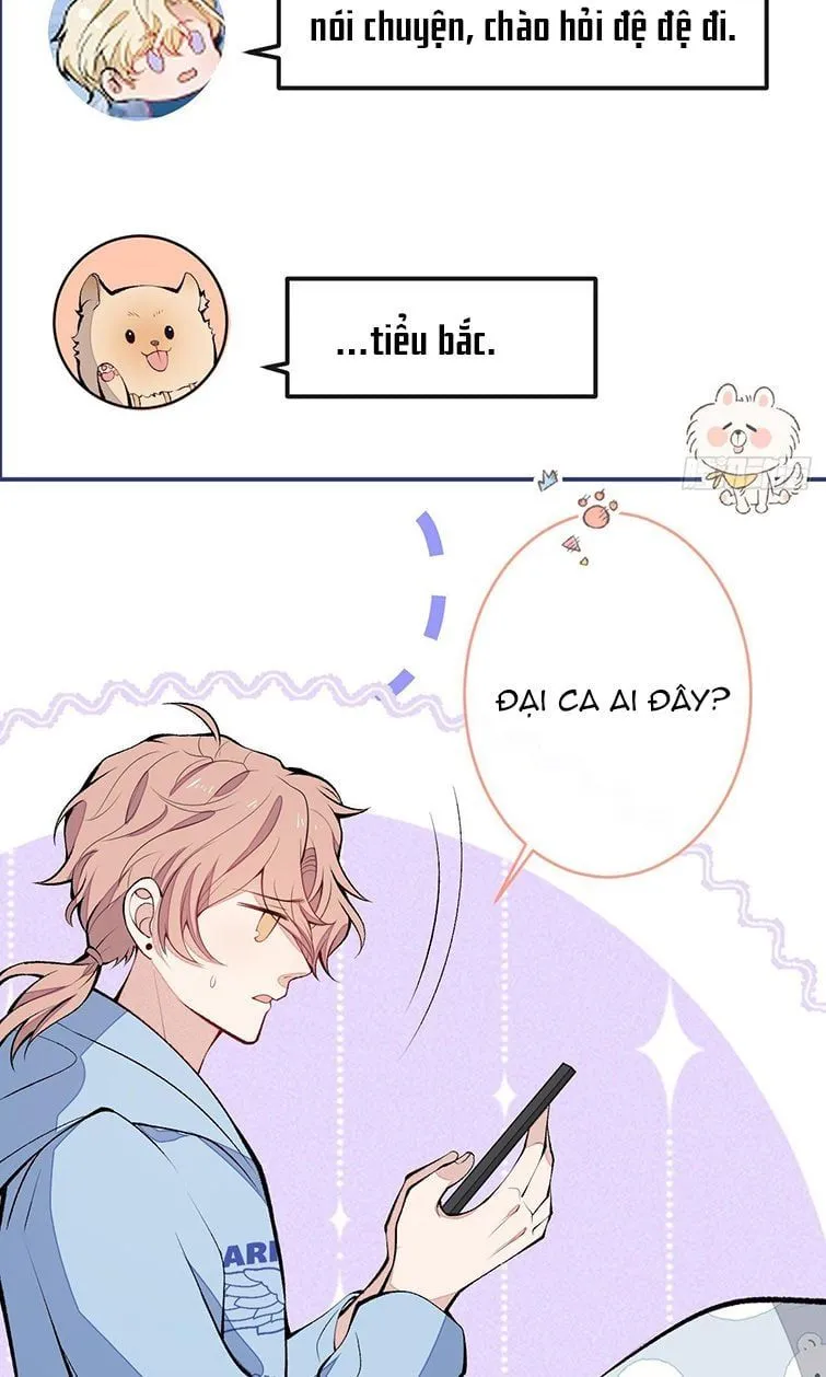 Hotsearch Của Ảnh Đế Chap 167 - Next Chap 168