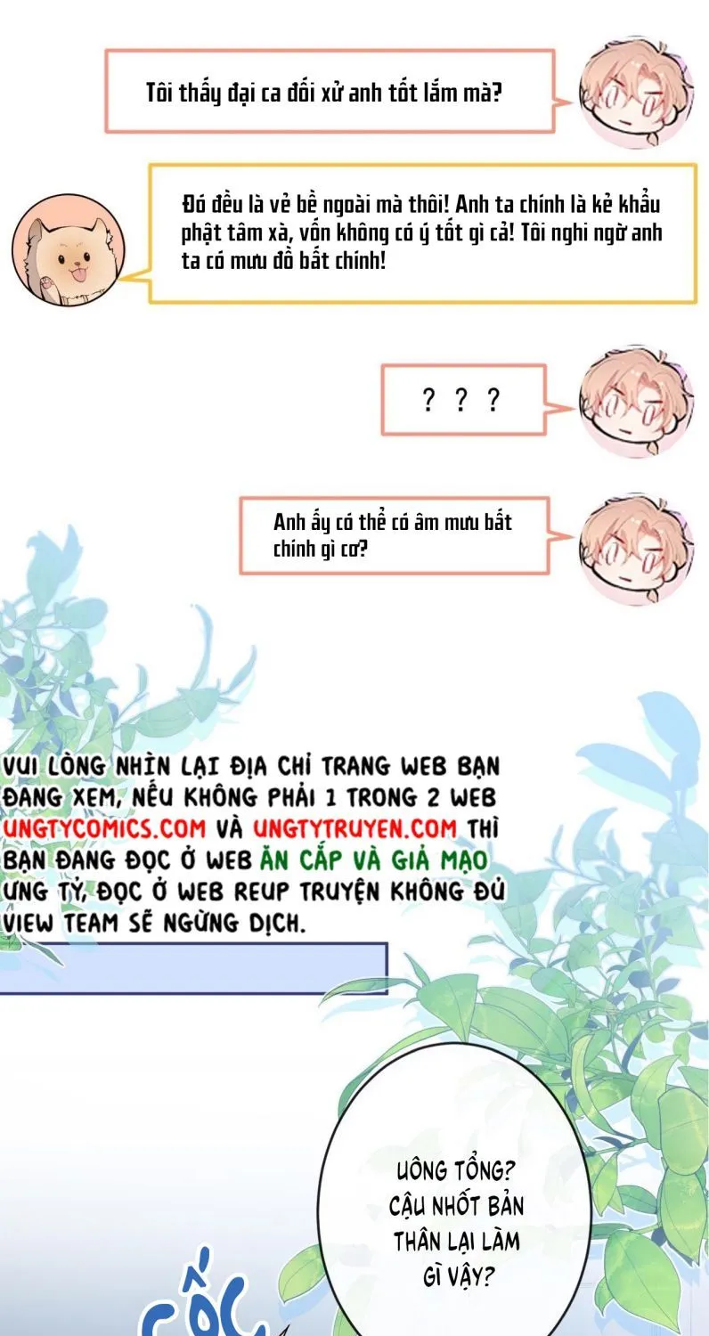 Hotsearch Của Ảnh Đế Chap 168 - Next Chap 169