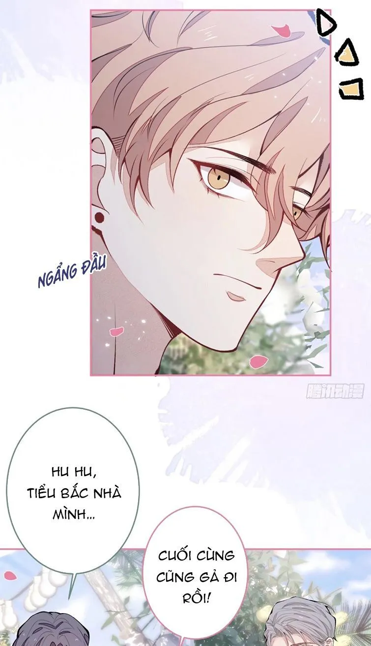 Hotsearch Của Ảnh Đế Chap 173 - Next Chap 174