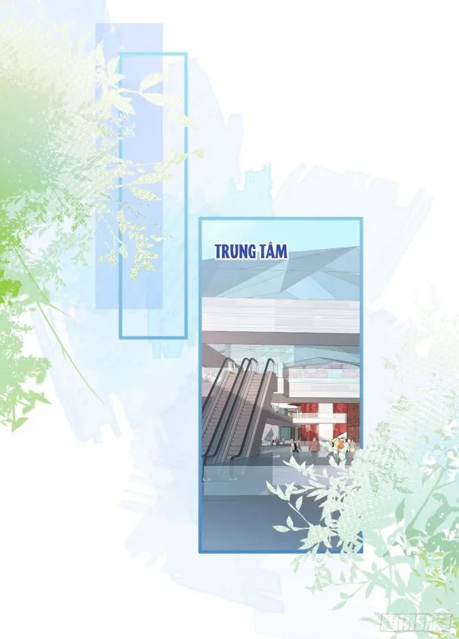 Hotsearch Của Ảnh Đế Chap 53 - Next Chap 54