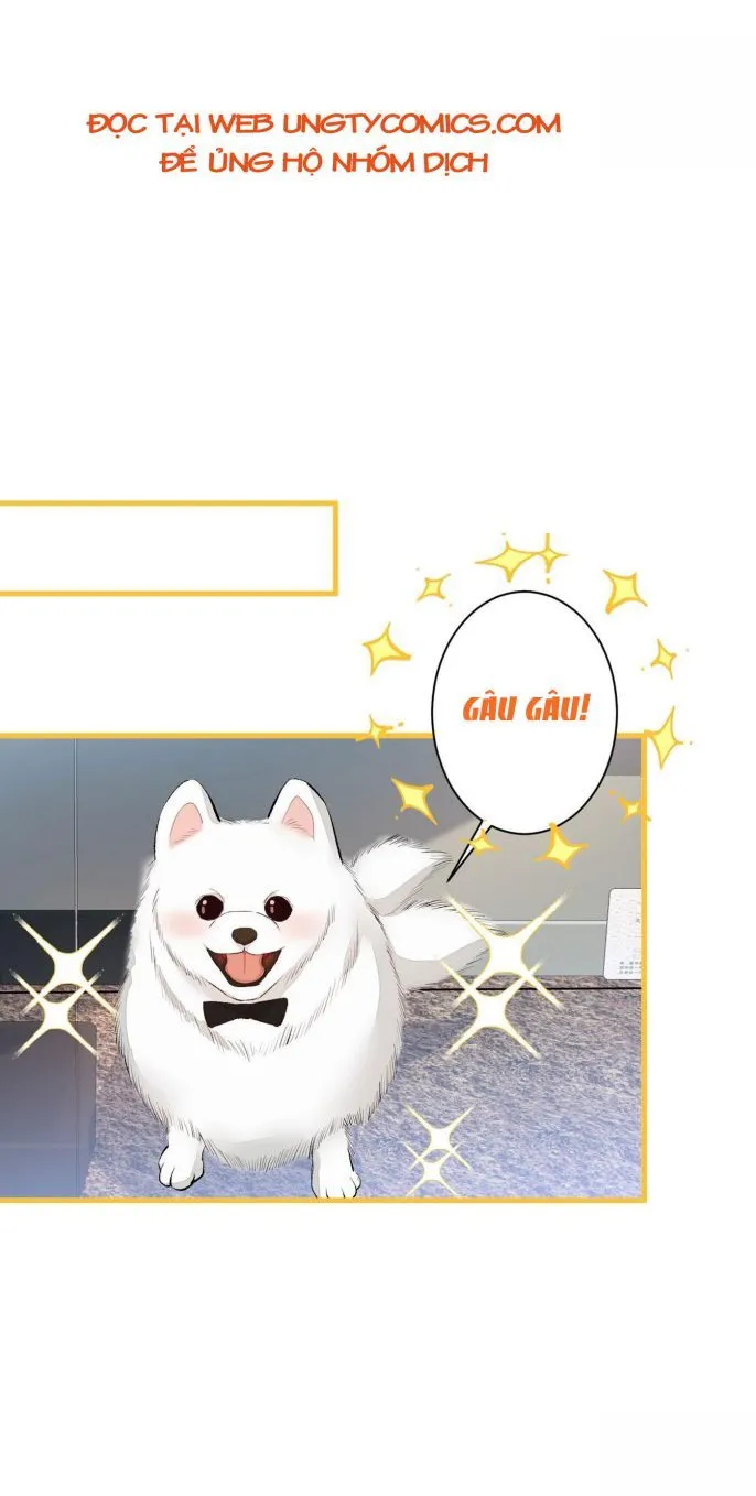 Hotsearch Của Ảnh Đế Chap 54 - Next Chap 55
