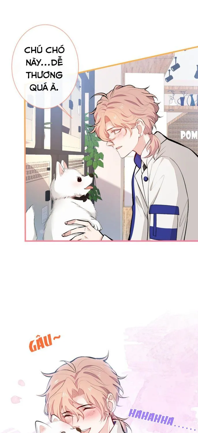 Hotsearch Của Ảnh Đế Chap 54 - Next Chap 55