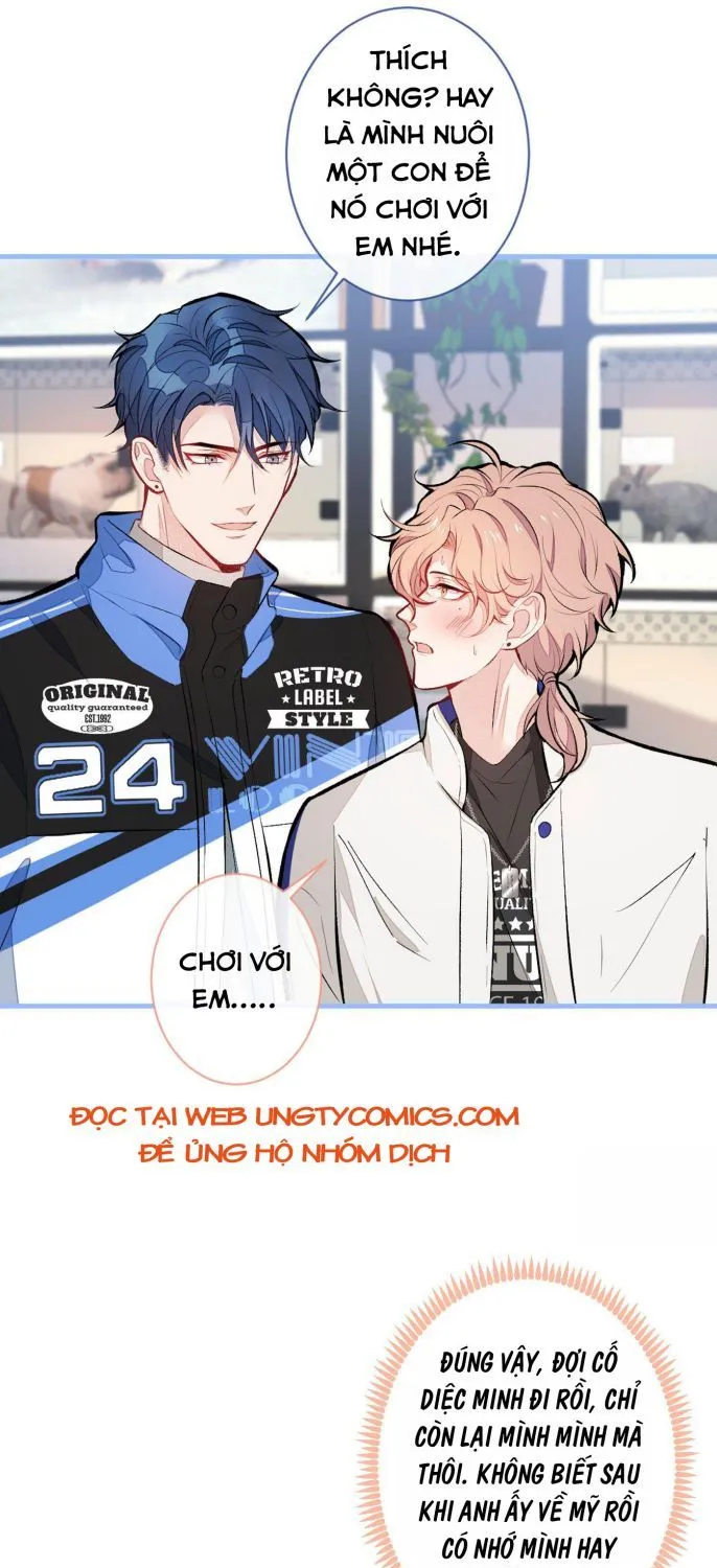 Hotsearch Của Ảnh Đế Chap 54 - Next Chap 55