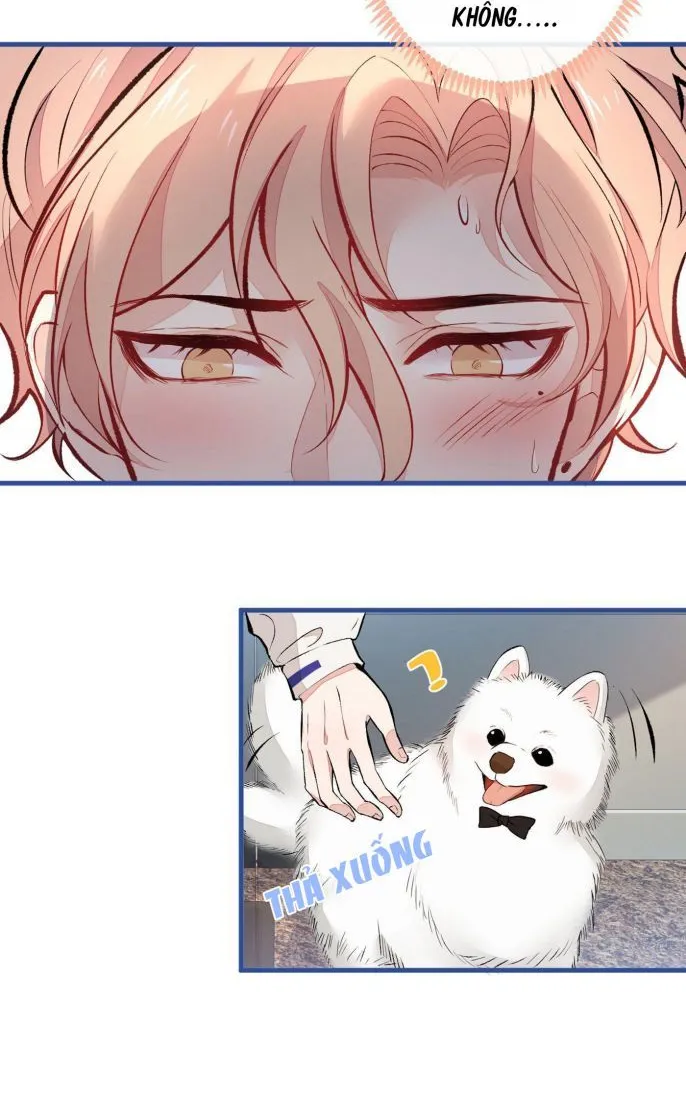 Hotsearch Của Ảnh Đế Chap 54 - Next Chap 55
