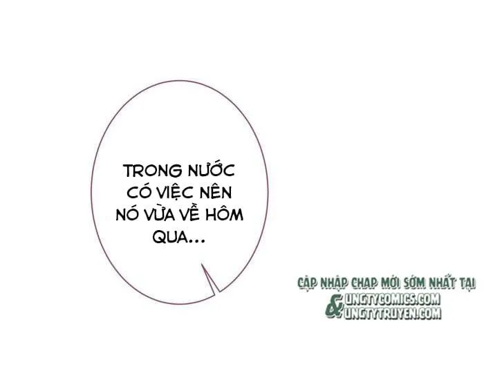 Hotsearch Của Ảnh Đế Chap 71 - Next Chap 72