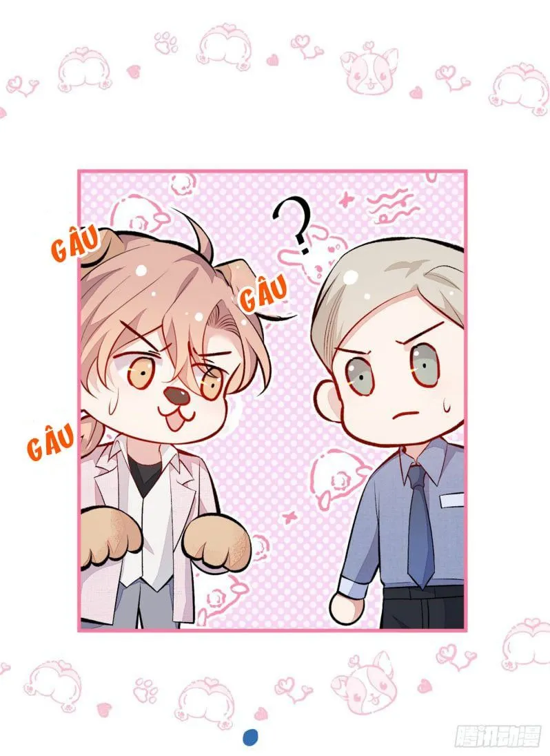 Hotsearch Của Ảnh Đế Chap 96 - Next Chap 97