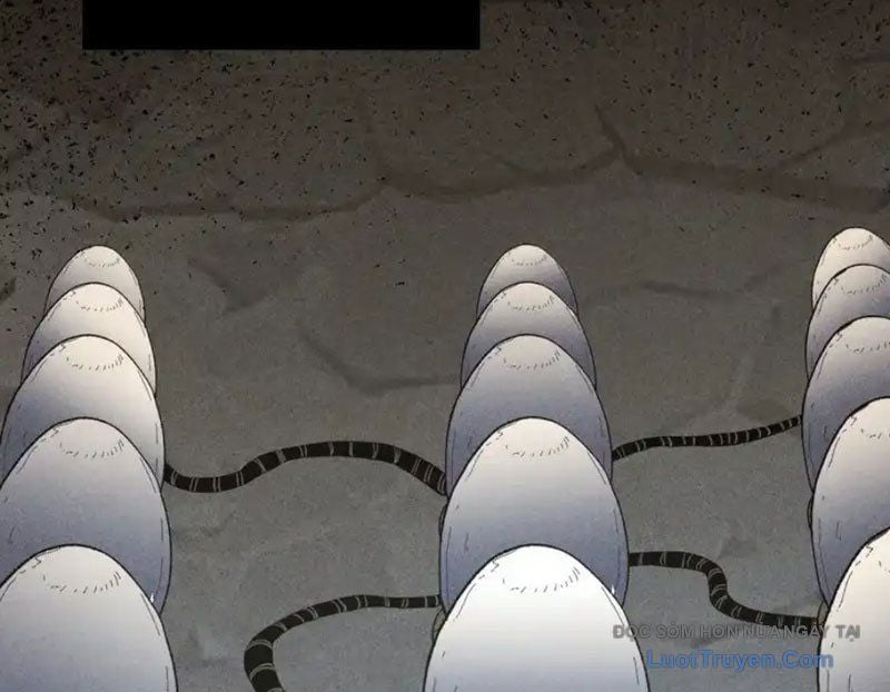 Hư Thực Chi Vương Chap 41 - Next Chap 42