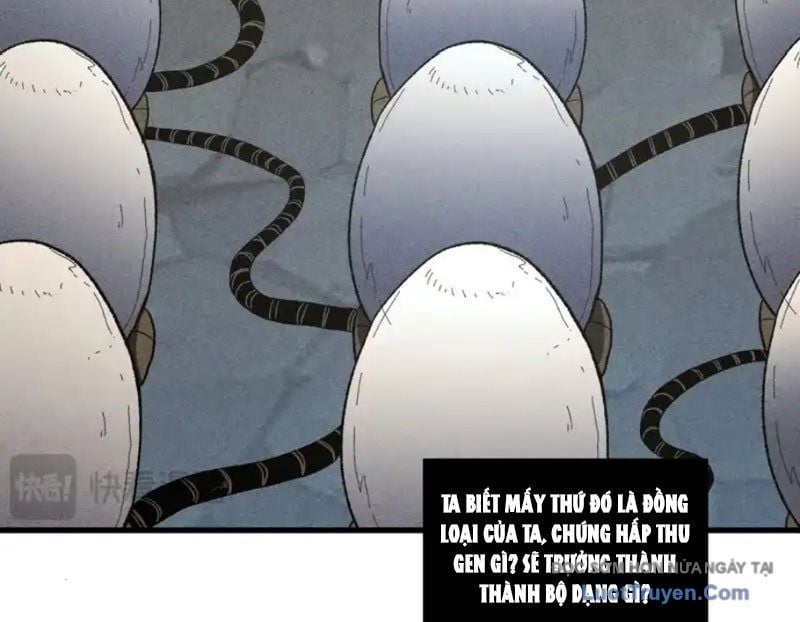 Hư Thực Chi Vương Chap 41 - Next Chap 42