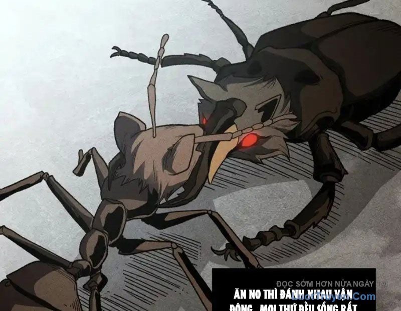 Hư Thực Chi Vương Chap 41 - Next Chap 42