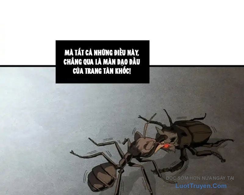 Hư Thực Chi Vương Chap 41 - Next Chap 42