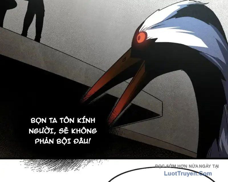 Hư Thực Chi Vương Chap 41 - Next Chap 42