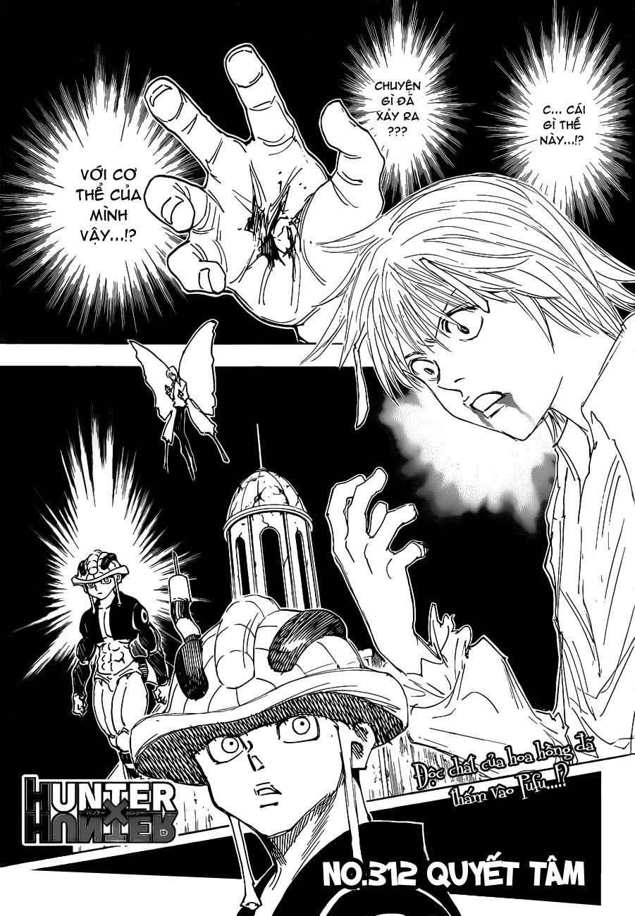 Hunter X Hunter Chap 312 - Next Chap 313