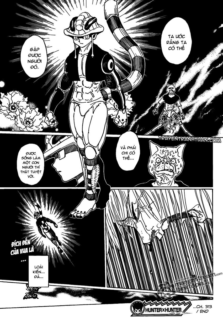 Hunter X Hunter Chap 313 - Next Chap 314