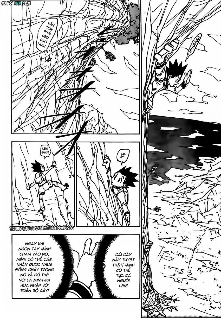 Hunter X Hunter Chap 338 - Next Chap 339