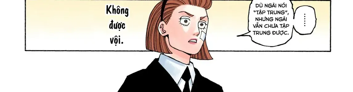 Hunter×Hunter (Digital Colored) Chap 385 - Next Chap 386