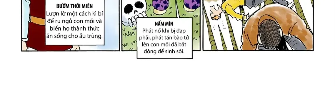 Hunter×Hunter (Digital Colored) Chap 8 - Next Chap 9