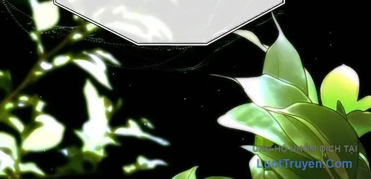 Hướng Dẫn Sinh Tồn Dành Cho Ranker Chap 78 - Next Chap 79