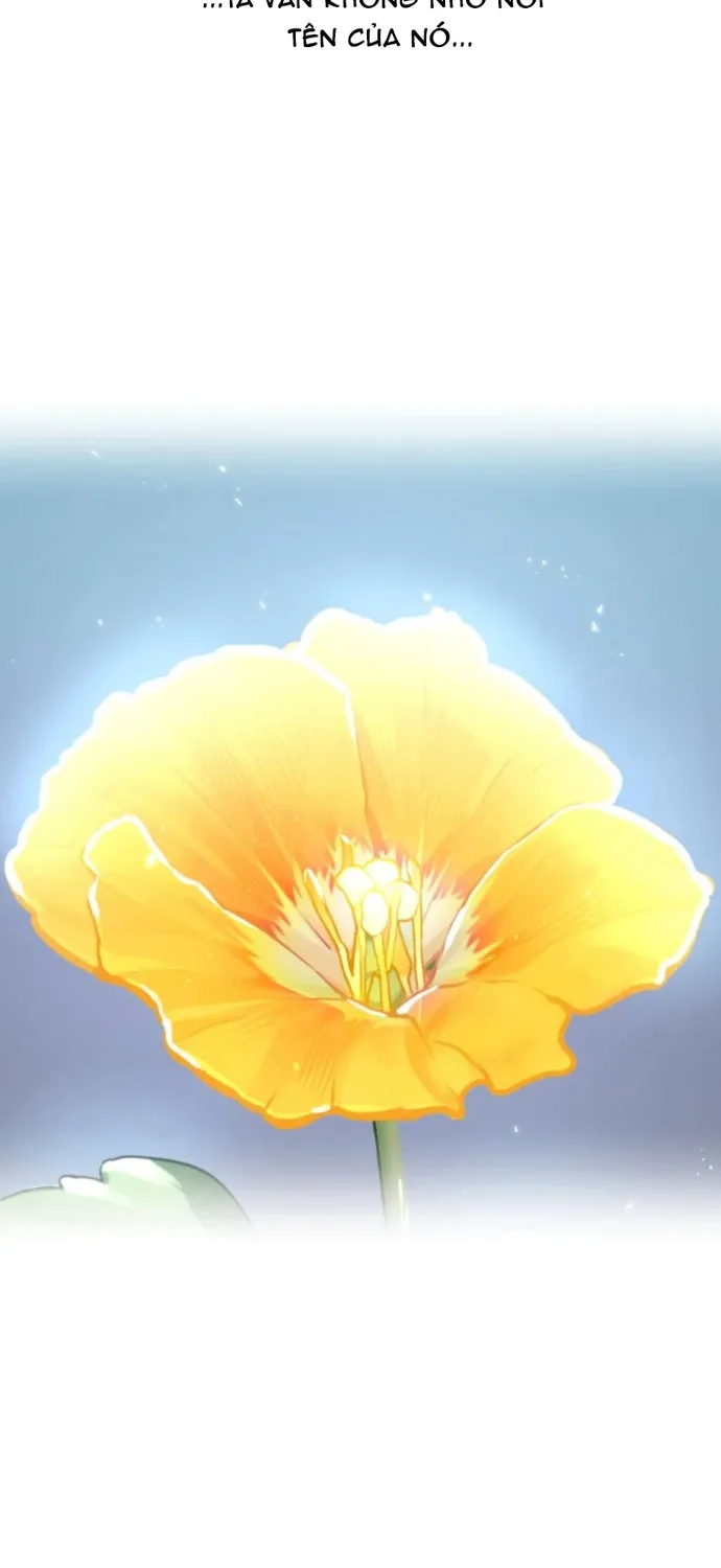 Huyết Thánh Cứu Thế Chủ~ Ta Chỉ Cần 0.0000001% Đã Trở Thành Vô Địch Chap 161 - Next Chap 162