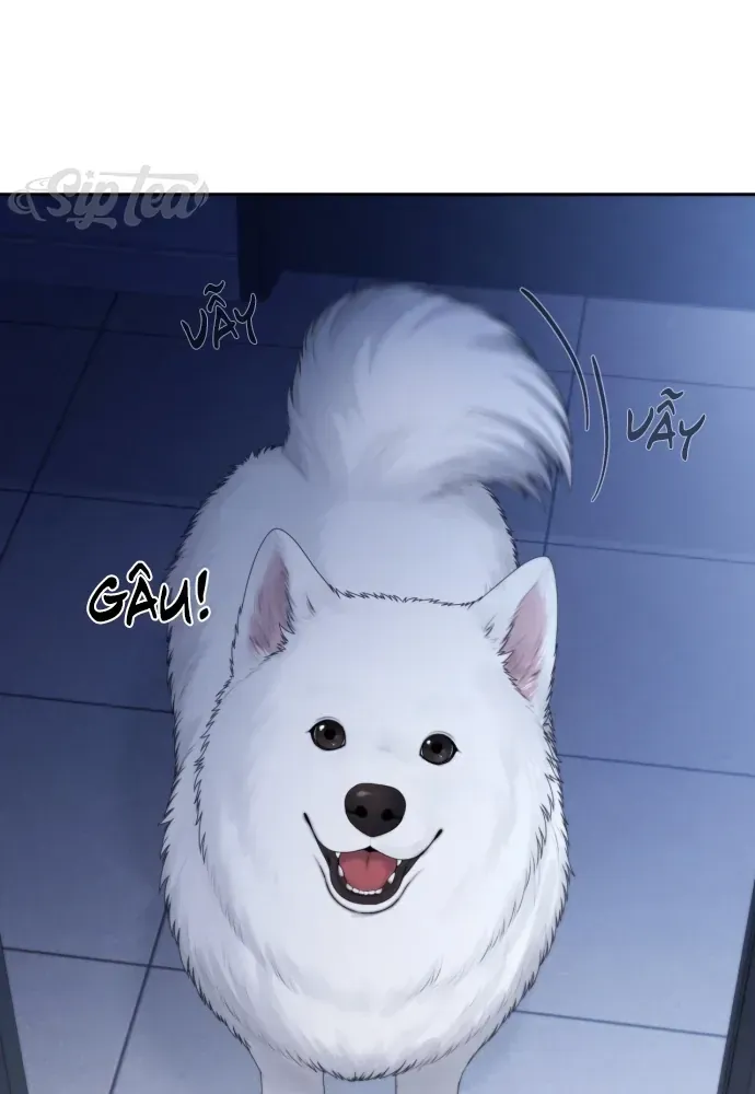 Hy Vọng Duy Nhất Chap 136 - Next Chap 137