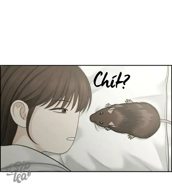 Hy Vọng Duy Nhất Chap 87 - Next Chap 88