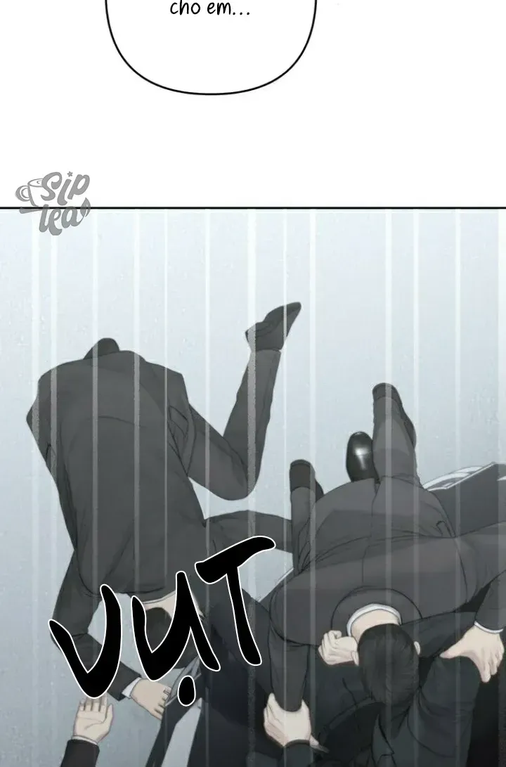Hy Vọng Duy Nhất Chap 97 - Next Chap 98