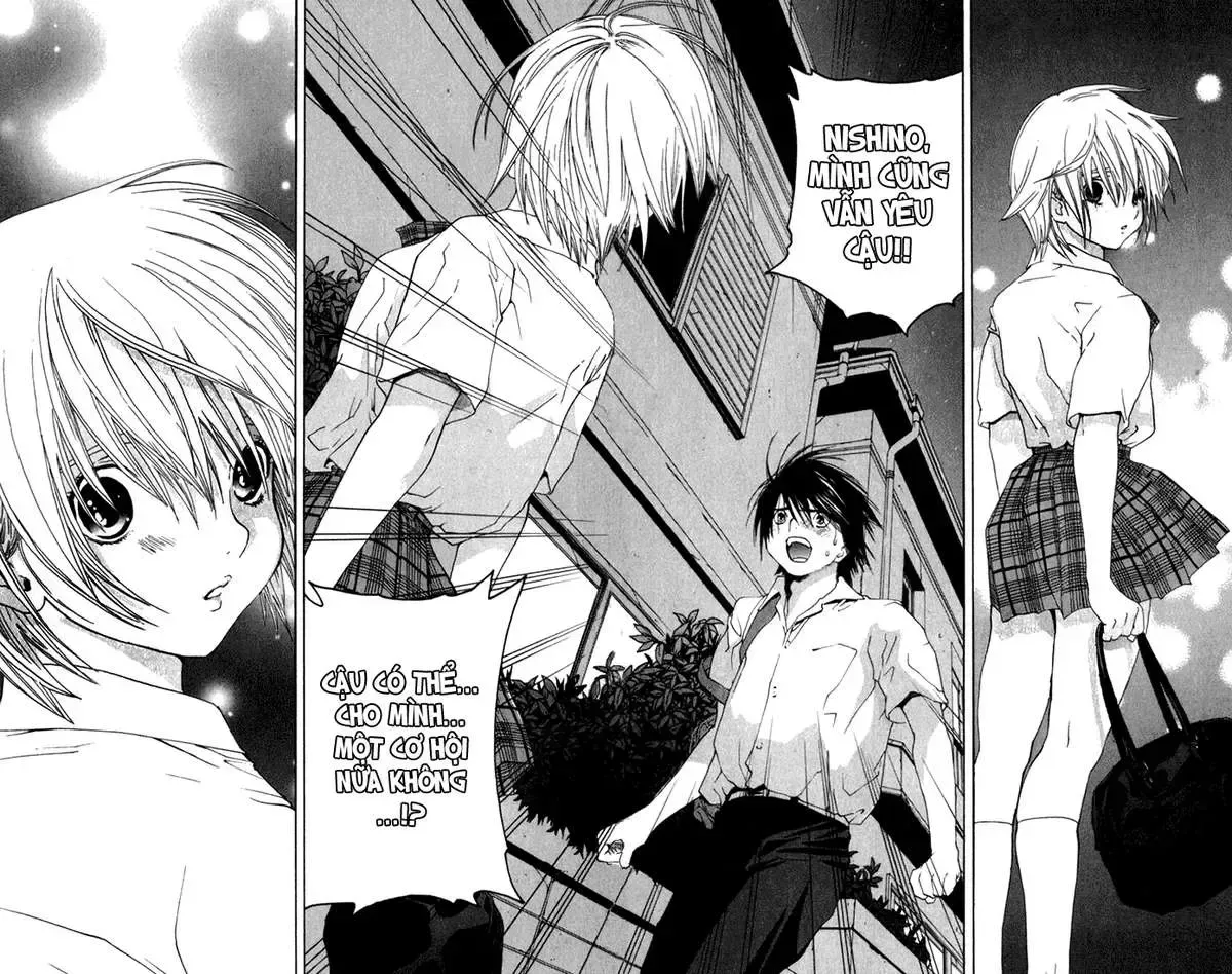 Ichigo 100% Chap 145 - Next Chap 146