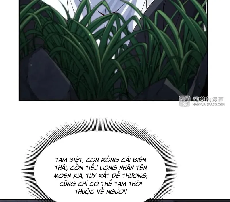 Im Miệng Đi Ác Long Ta Không Muốn Cùng Ngươi Trông Trẻ Đâu! Chap 3 - Next Chap 4