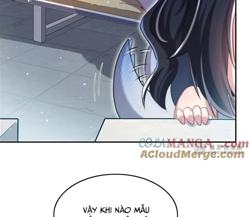 Im Miệng Đi Ác Long Ta Không Muốn Cùng Ngươi Trông Trẻ Đâu! Chap 3 - Next Chap 4