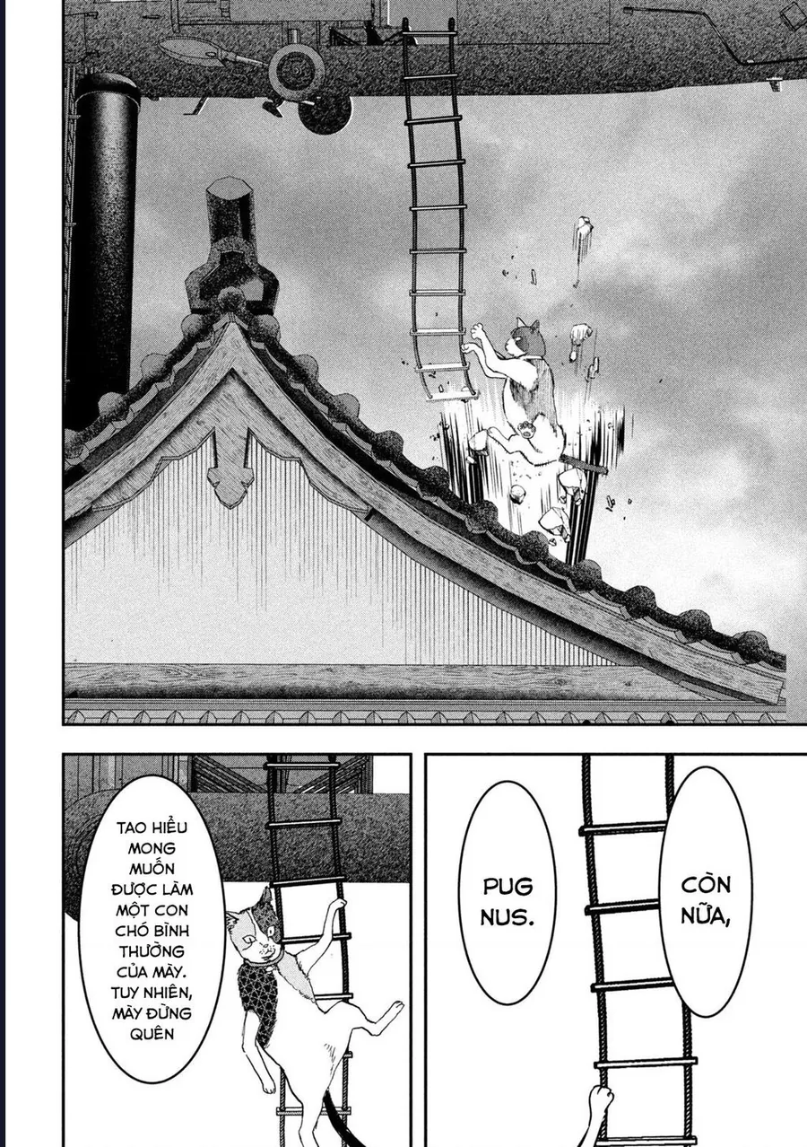 Innu - Chú Chó Bá Đạo Chap 17 - Next Chap 18