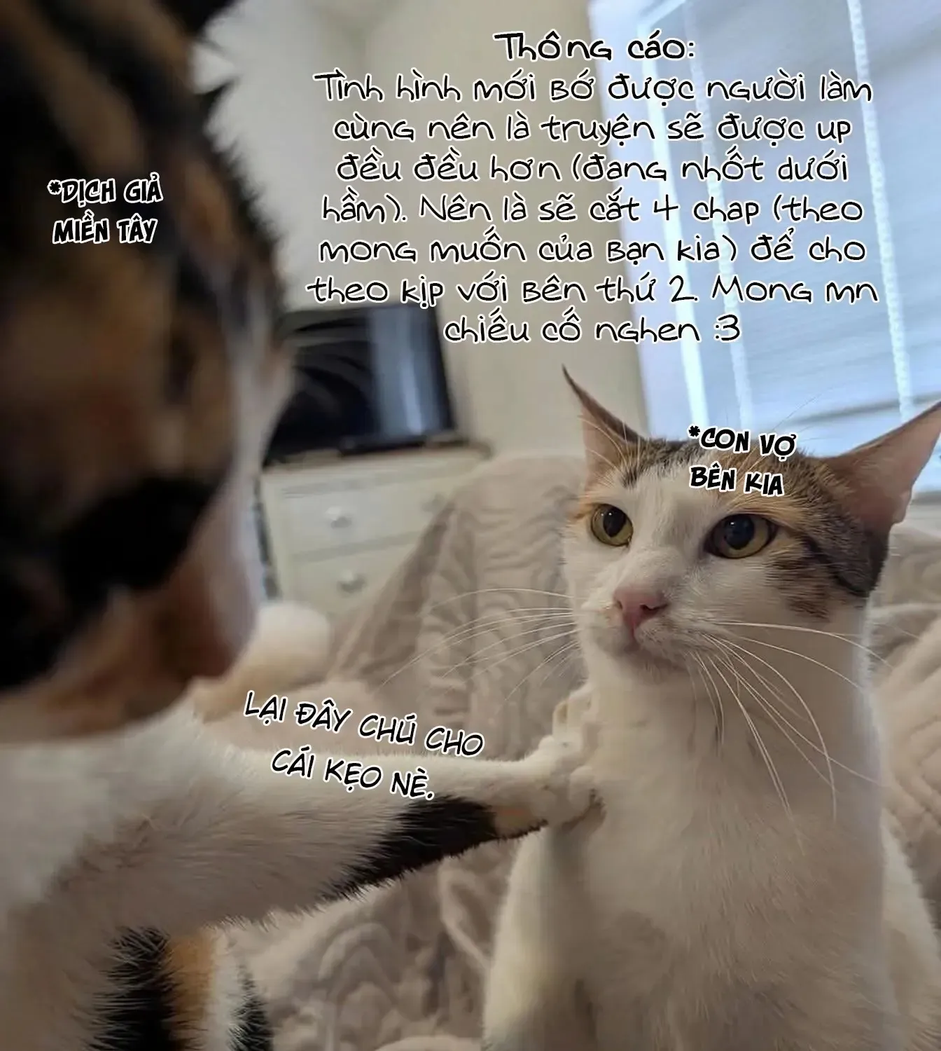 Itoko No Ko (Em Gái Quê Miền Tây Cute Phô Mai Que) Chap 12 - Next Chap 13