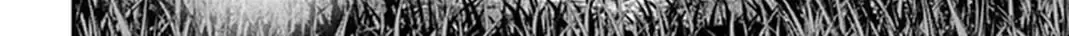 Jack The Ripper No Jikenbo Chap 66 - Next Chap 67