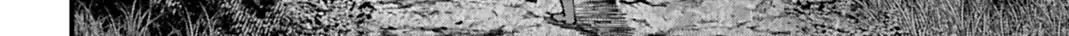 Jack The Ripper No Jikenbo Chap 67 - Next Chap 68