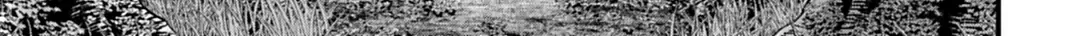 Jack The Ripper No Jikenbo Chap 69 - Next Chap 70