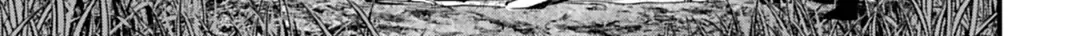 Jack The Ripper No Jikenbo Chap 69 - Next Chap 70