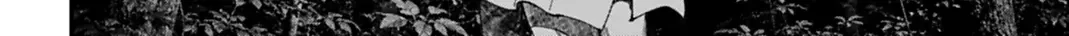 Jack The Ripper No Jikenbo Chap 70 - Next Chap 71