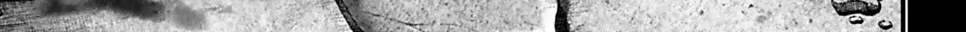 Jack The Ripper No Jikenbo Chap 71 - Next Chap 72