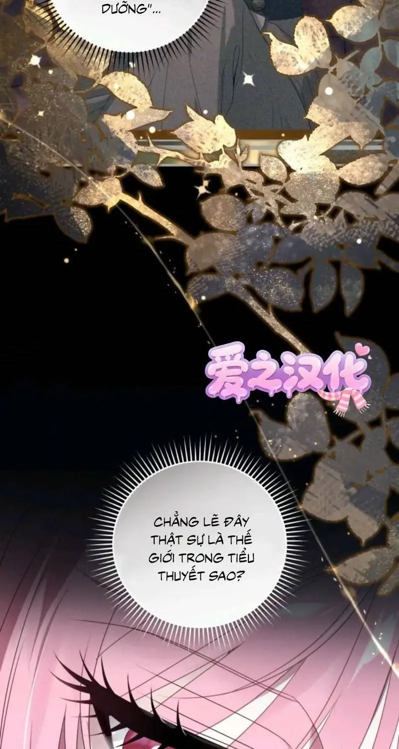 Kẻ Cuồng Chiếm Hữu Muốn Giam Giữ Tôi Chap 2 - Next Chap 3