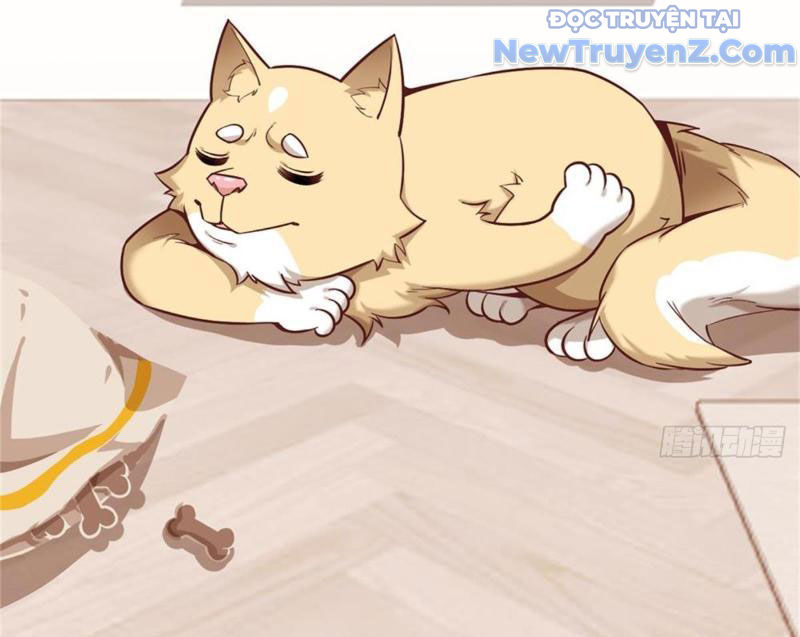 Kế Hoạch Bồi Dưỡng Nữ MC Của Cẩu Hoàng Chap 1 - Next Chap 2