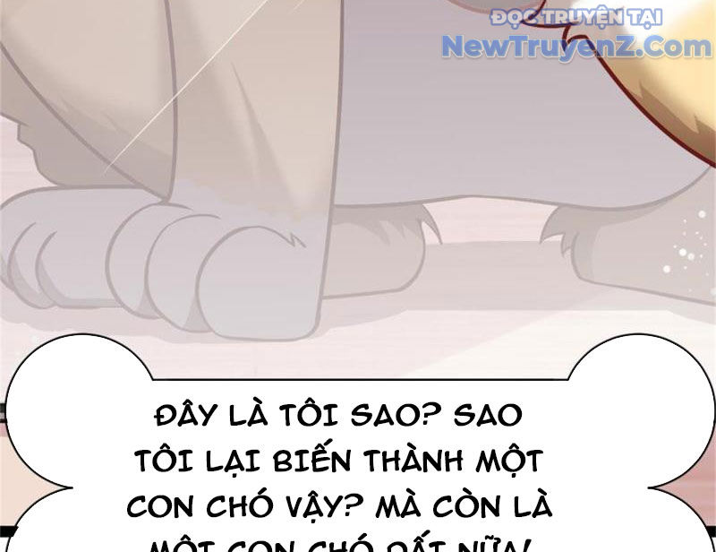 Kế Hoạch Bồi Dưỡng Nữ MC Của Cẩu Hoàng Chap 1 - Next Chap 2