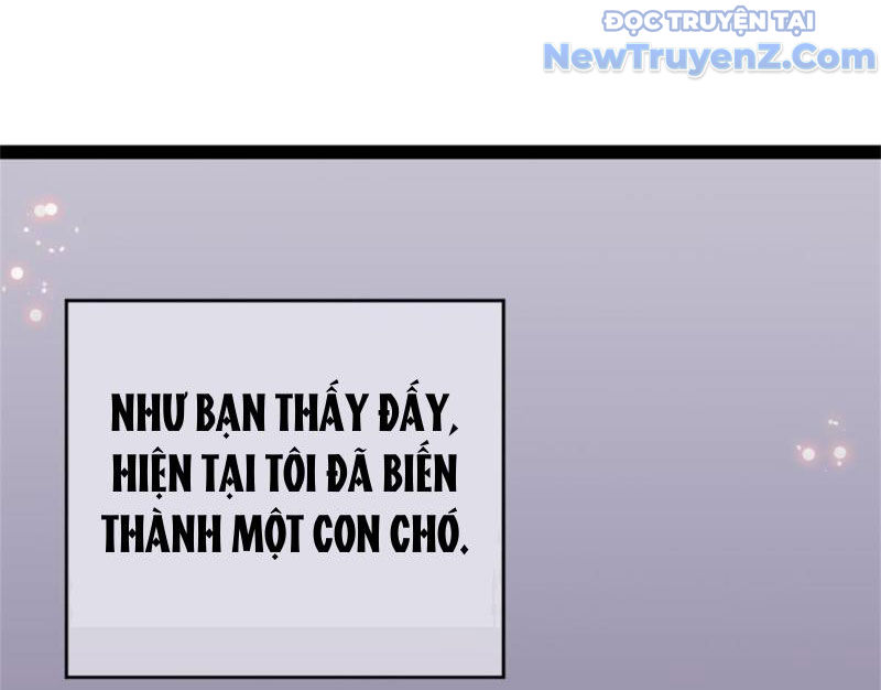 Kế Hoạch Bồi Dưỡng Nữ MC Của Cẩu Hoàng Chap 1 - Next Chap 2