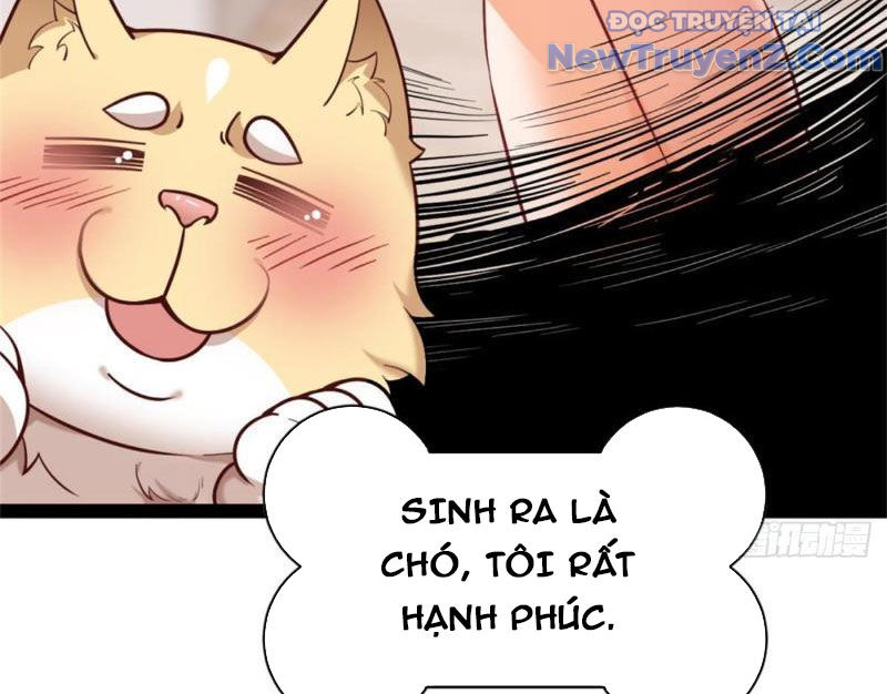 Kế Hoạch Bồi Dưỡng Nữ MC Của Cẩu Hoàng Chap 1 - Next Chap 2