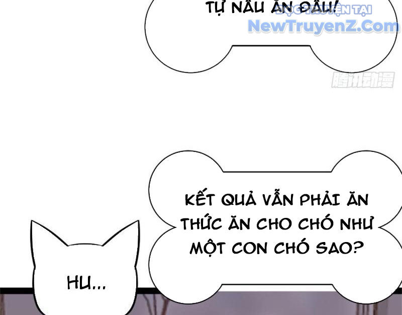 Kế Hoạch Bồi Dưỡng Nữ MC Của Cẩu Hoàng Chap 1 - Next Chap 2