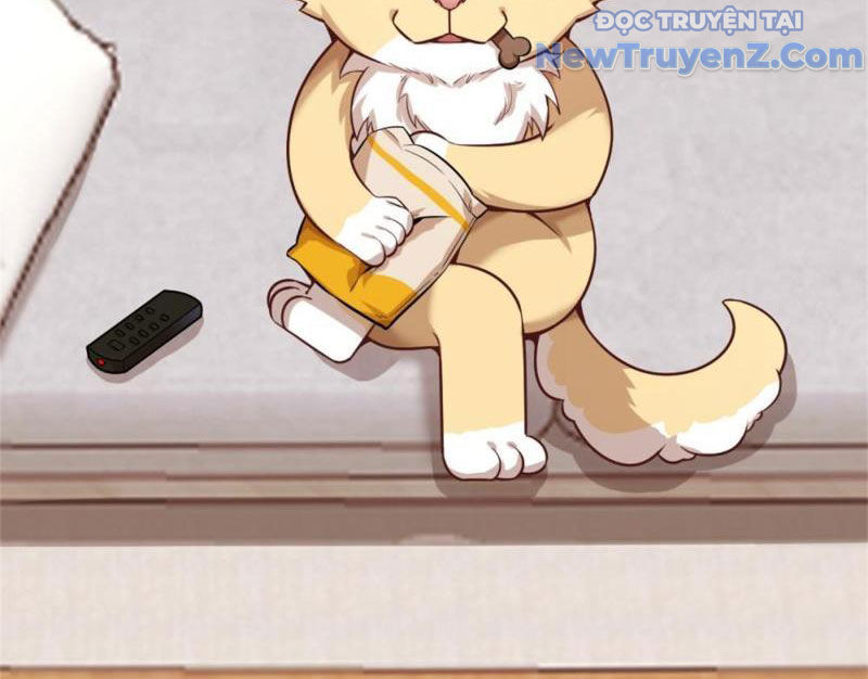 Kế Hoạch Bồi Dưỡng Nữ MC Của Cẩu Hoàng Chap 1 - Next Chap 2