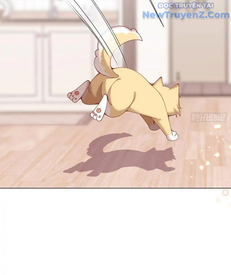 Kế Hoạch Bồi Dưỡng Nữ MC Của Cẩu Hoàng Chap 11 - Next Chap 12