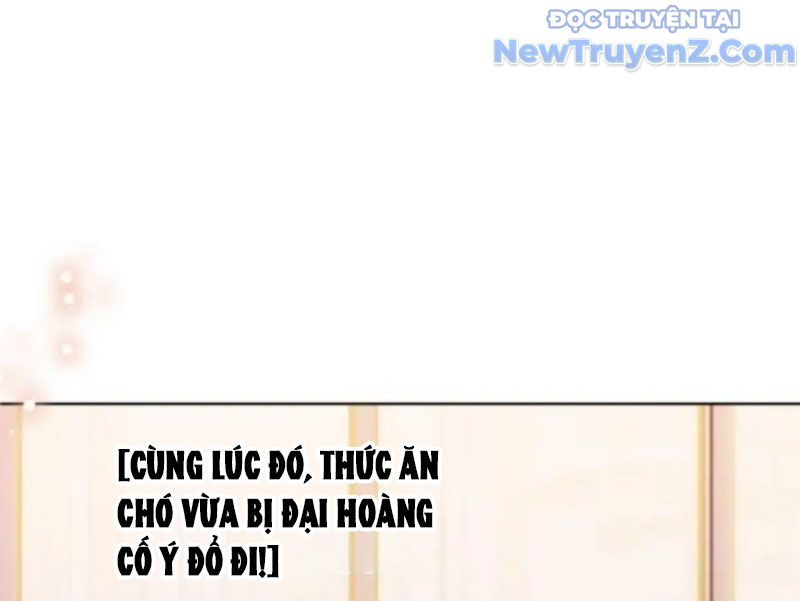 Kế Hoạch Bồi Dưỡng Nữ MC Của Cẩu Hoàng Chap 14 - Next Chap 15