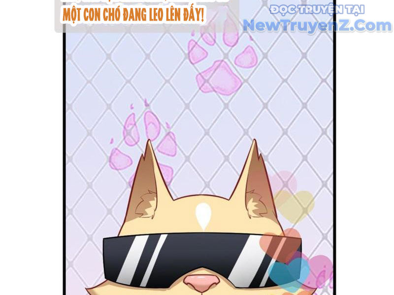 Kế Hoạch Bồi Dưỡng Nữ MC Của Cẩu Hoàng Chap 2 - Next Chap 3