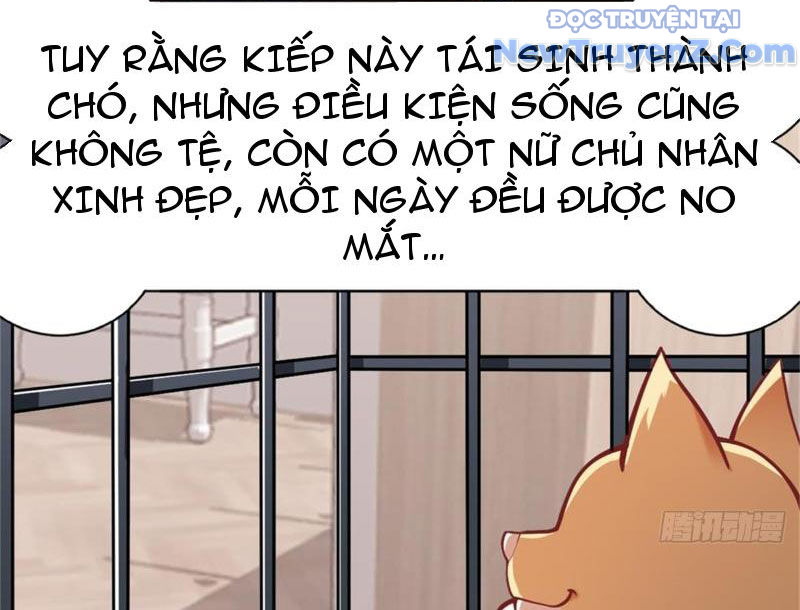 Kế Hoạch Bồi Dưỡng Nữ MC Của Cẩu Hoàng Chap 3 - Next Chap 4