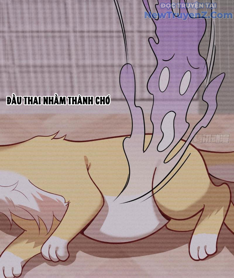 Kế Hoạch Bồi Dưỡng Nữ MC Của Cẩu Hoàng Chap 4 - Next Chap 5