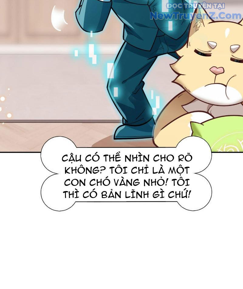 Kế Hoạch Bồi Dưỡng Nữ MC Của Cẩu Hoàng Chap 5 - Next Chap 6